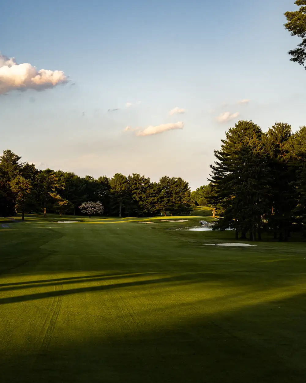 Long evening shadows across a tree-lined fairway