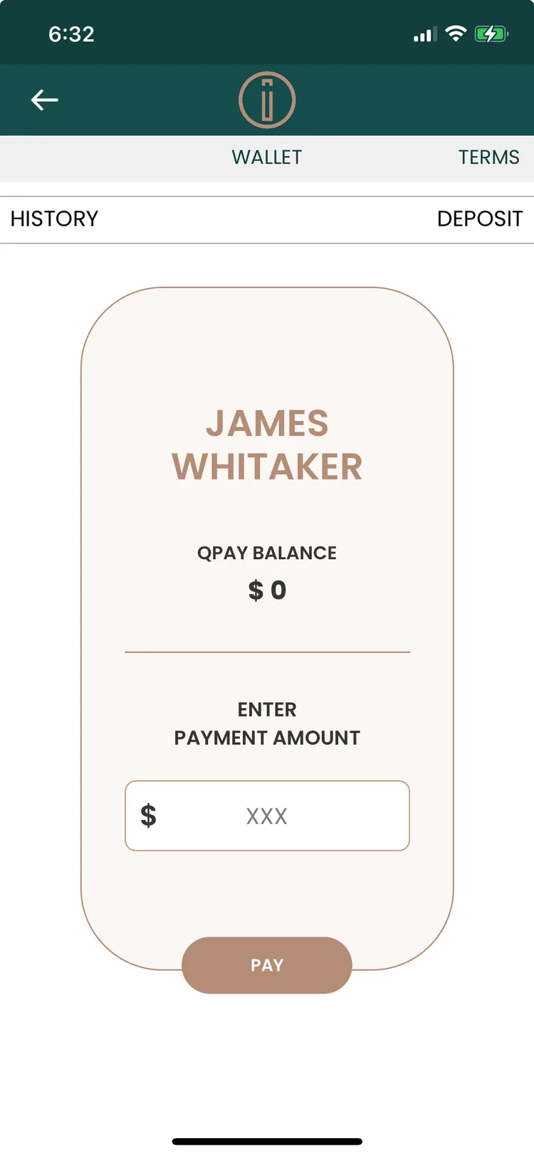 Club wallet with balance and payments